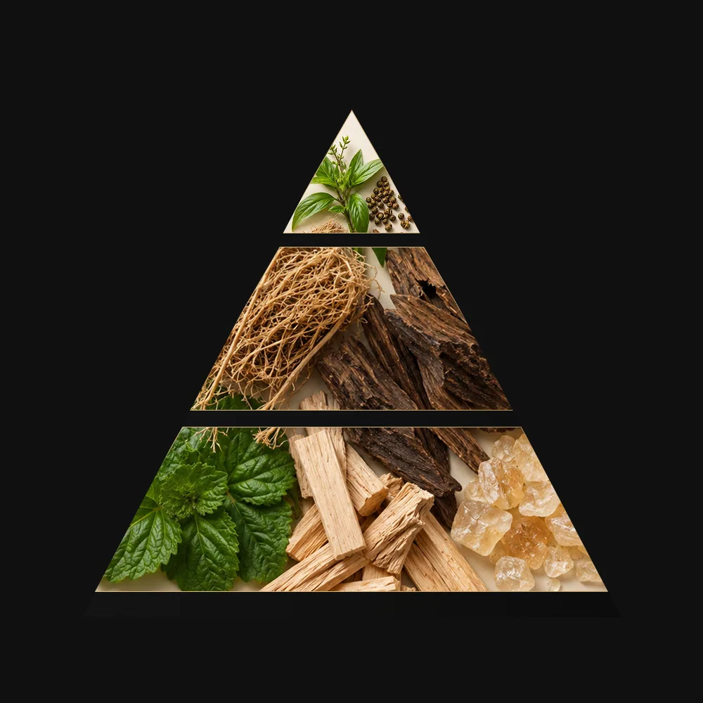 Royal Wood — Профіль аромату