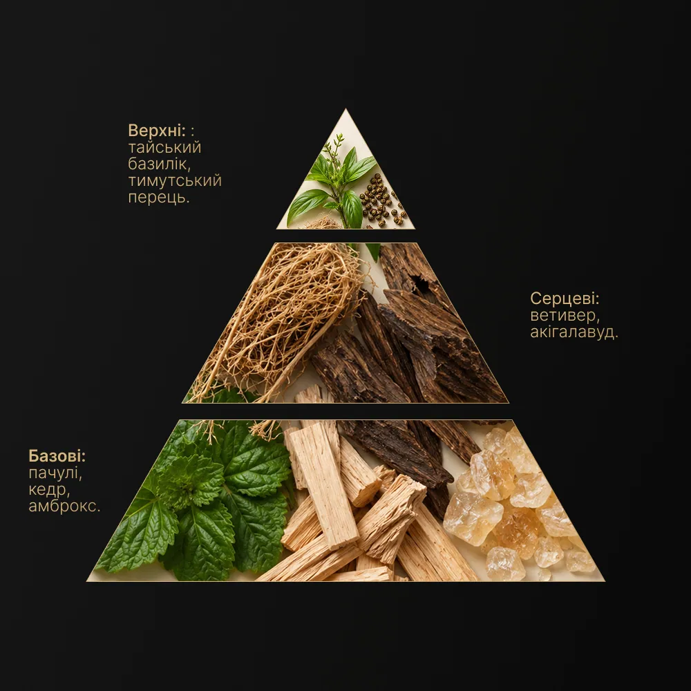 аромадифузор для дому Vitol Lab Royal Wood, SSENCE WOOD ROYAL, 50 мл — 4